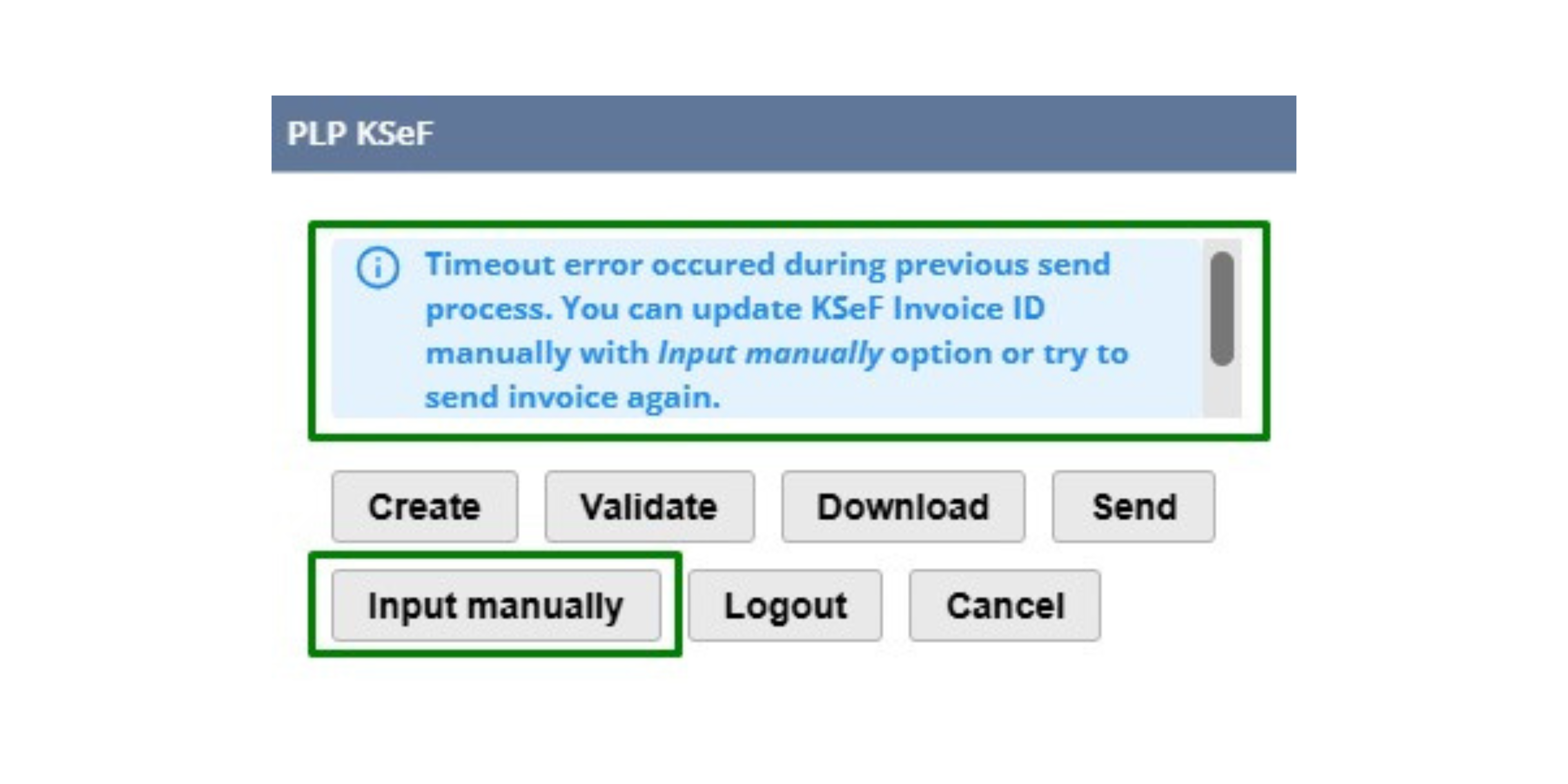 PLP KSeF Oracle NetSuite input manually