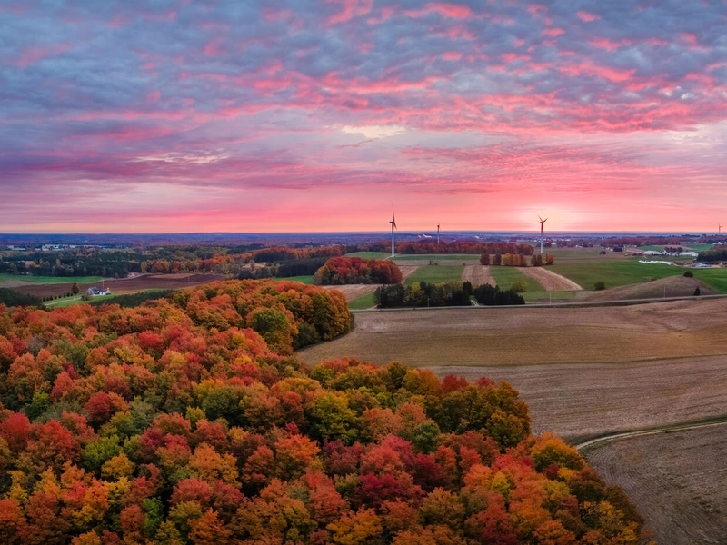 Panoramiczny widok z lotu ptaka na wiejski krajobraz o zachodzie słońca, przedstawiający lasy w jesiennych barwach, pola uprawne i liczne turbiny wiatrowe na tle różowo-niebieskiego nieba